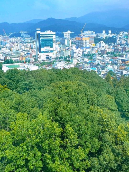 광주에서 가장 높은 곳에 있는 카페