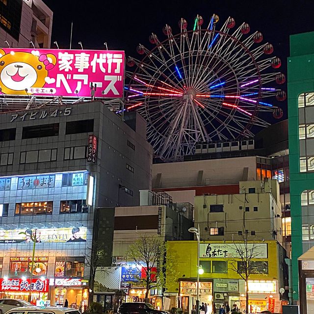 삿포로 핫플 포토존 니카상📸 화려한 스스키노 야경