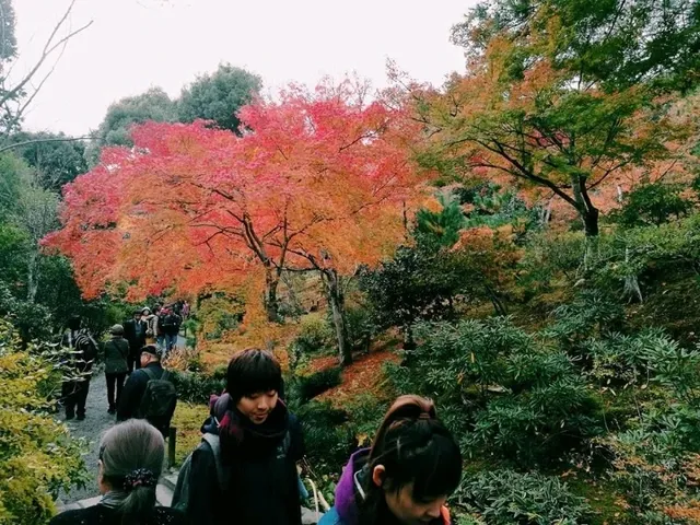 📍Tenryu Ji Temple