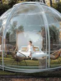 🇫🇷全透明水晶球Bubble酒店🫧 以天為被以地為席的感覺🛌