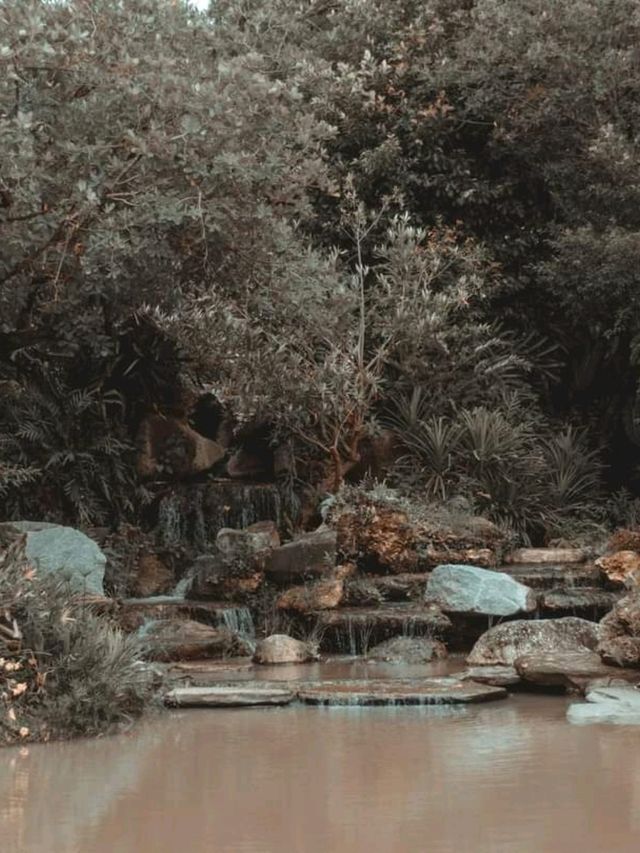 ไปถ่ายรูป ที่ป่าในกรุงกันเถอะ