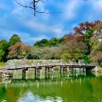 Hikone's Otemon: Gateway to History