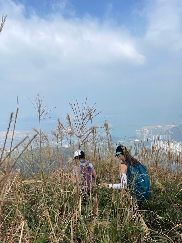 彌勒山🌿昂坪棧道｜秋天行山打卡推介📸