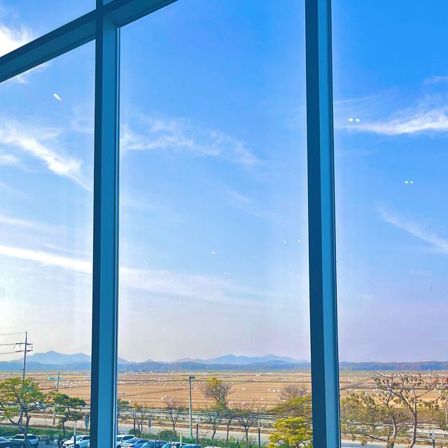 철새 구경과 마시멜로 사냥이 가능한 #문지리535