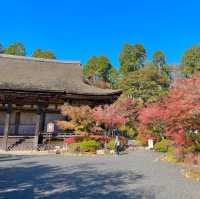 Joraku-ji: Zen Oasis Unveiled