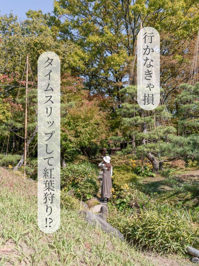 【福井県/福井市】まるで江戸時代にタイムスリップ⁉︎紅葉狩りスポット