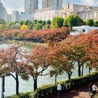 เดินเล่นสวนสาธารณะทะเลสาบซอกชนในต้นฤดูใบไม้ผลิ 🍁🍂