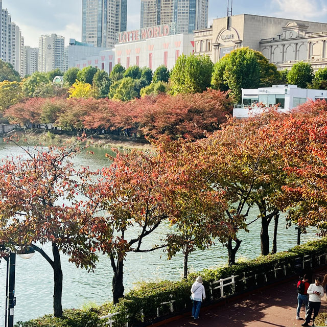 เดินเล่นสวนสาธารณะทะเลสาบซอกชนในต้นฤดูใบไม้ผลิ 🍁🍂