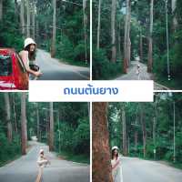 เที่ยวเชียงใหม่ 8 วัน 7 คืน 