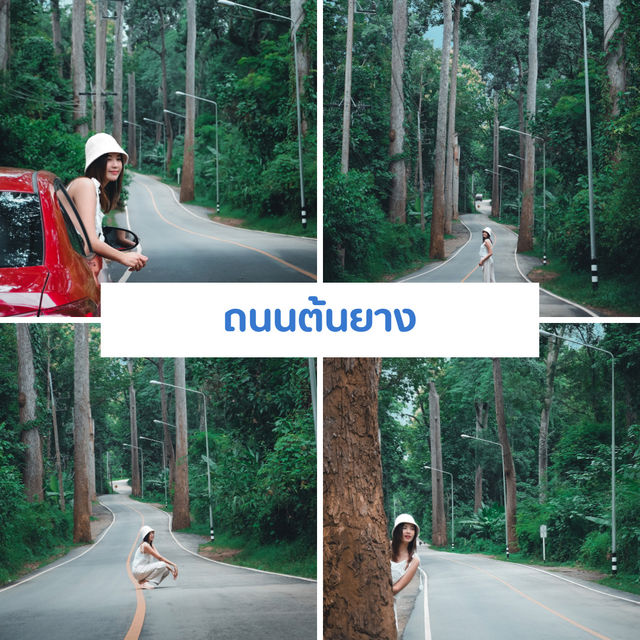 เที่ยวเชียงใหม่ 8 วัน 7 คืน 