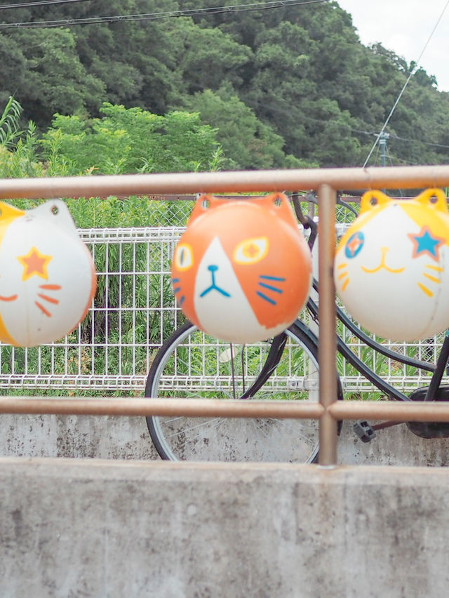 【香川】人生初のモテ期到来笑🐈💕2時間滞在でも十分楽しめる猫の島。