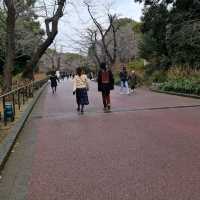 สายชิล Tokyo ลอง สวน Ueno สวนสาธารณะมีมากกว่าธรรมชาติ