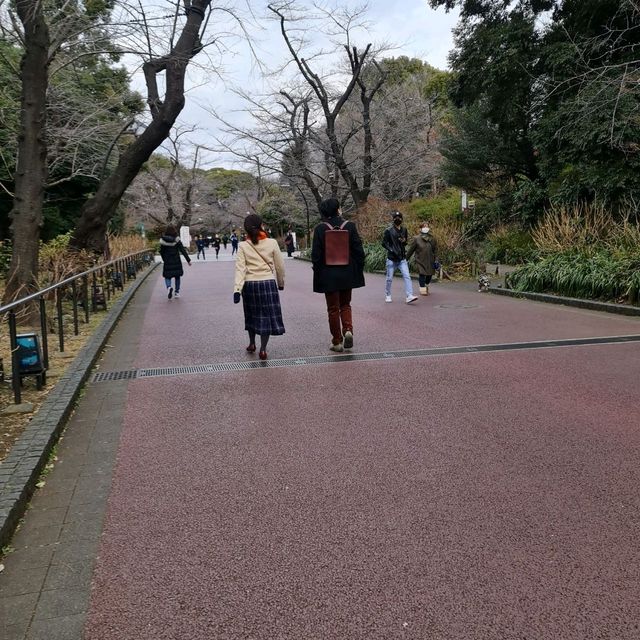 สายชิล Tokyo ลอง สวน Ueno สวนสาธารณะมีมากกว่าธรรมชาติ