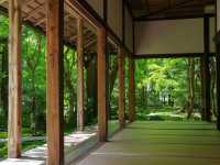 【京都市】静を感じて心洗う庭園🌿