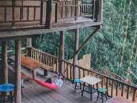 บ้านต้นไม้แม่แมะ Tree House Hideaway