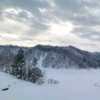 일본여행 비에이로 가는 길에 있는 Katsurazawa Lake
