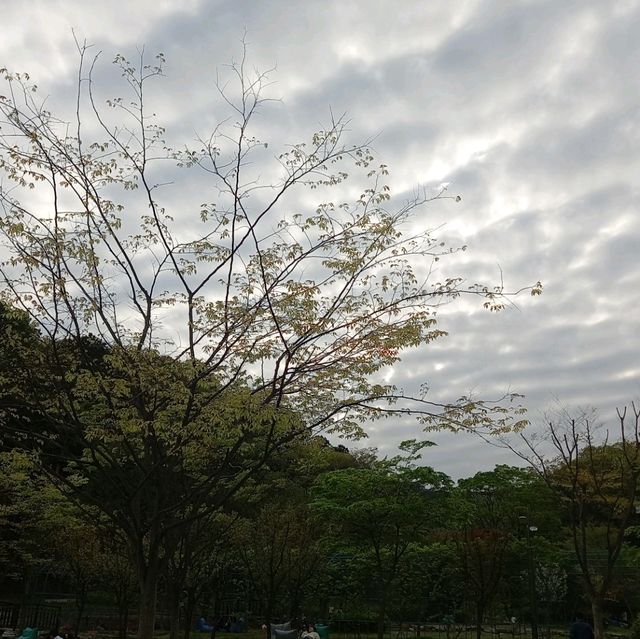 4월30일까지  군포철쭉동산  
