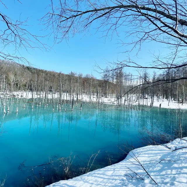 See the beautiful blue pond in Hokkaido! 