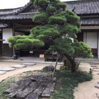 江户風彩🤩杵築城下町🤞🏻日本百大名城🫶🏻唯一三明治城下町