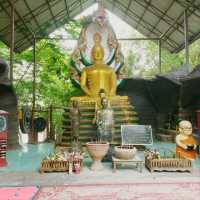 วัดป่าปากโดม