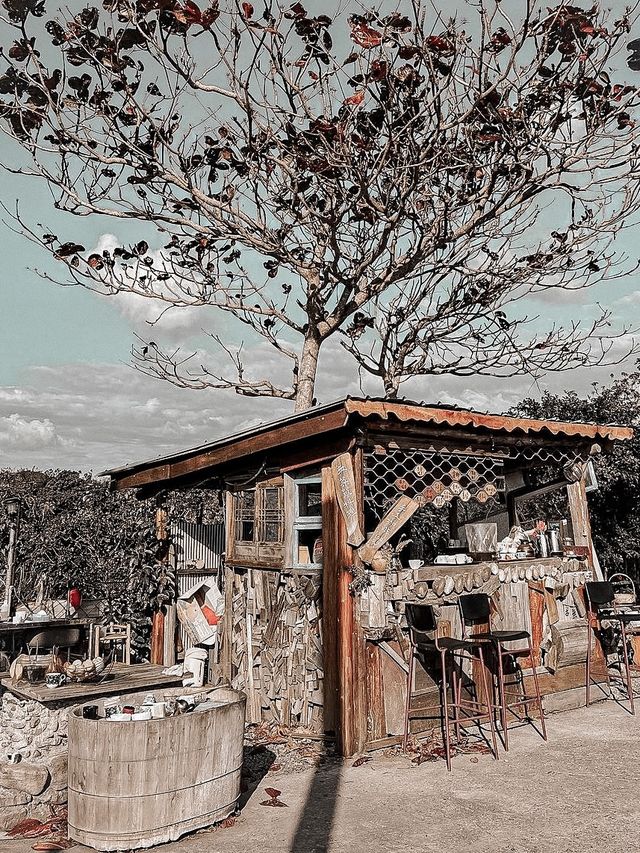 台灣熱門網紅必到開門見山樹屋咖啡Treehouse cafe☕️