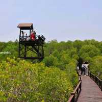 เส้นทางศึกษาธรรมชาติ วนอุทยานปราณบุรี