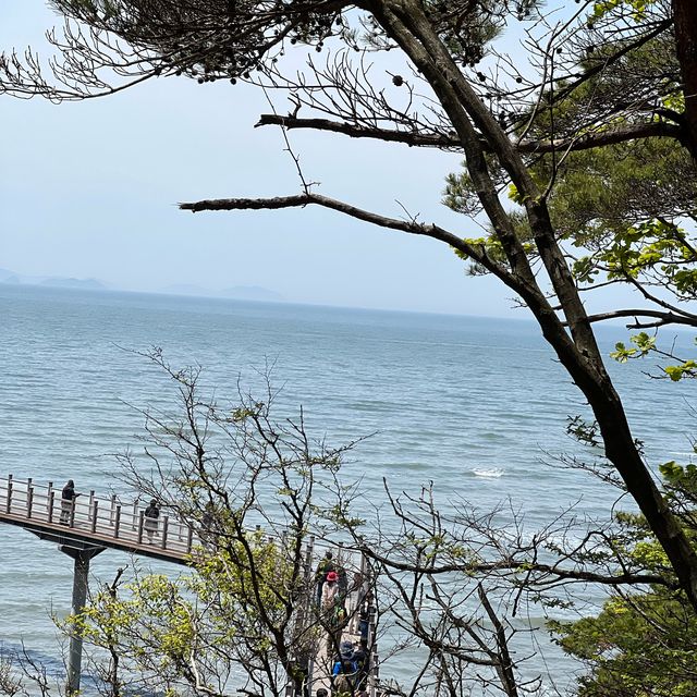 영종도안의 무의도 하나개해수욕장💙해상관광탐방로🌿