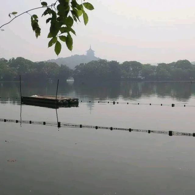 上有天堂，下有蘇杭🏞無庸置疑的人間美景🥹