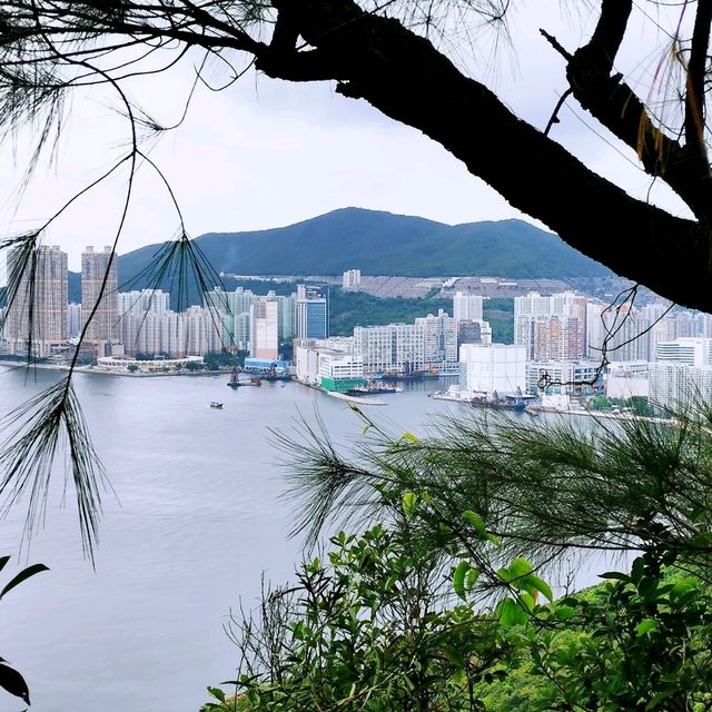 輕鬆易行的衛奕信徑第3段