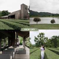 14 พิกัด โคราช เขาใหญ่ 
