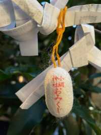 【東京都/小網神社】都内で最強の御利益ある神社