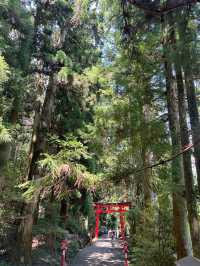 箱根一日遊 @ 箱根神社