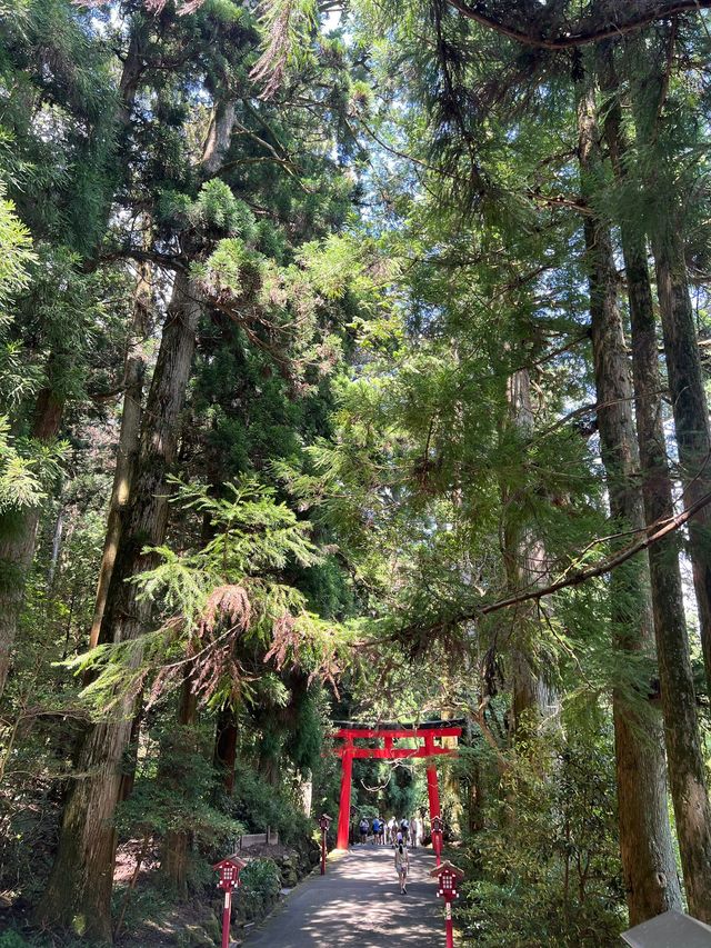 箱根一日遊 @ 箱根神社