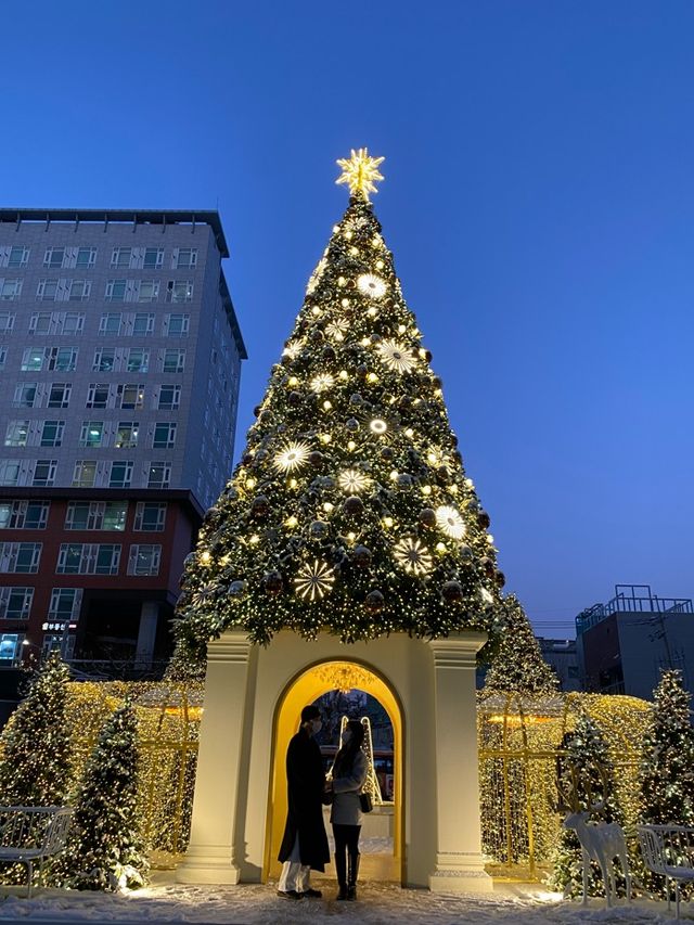 크리스마스 트리 명소! 타임스퀘어🎄🎅🏻🎁