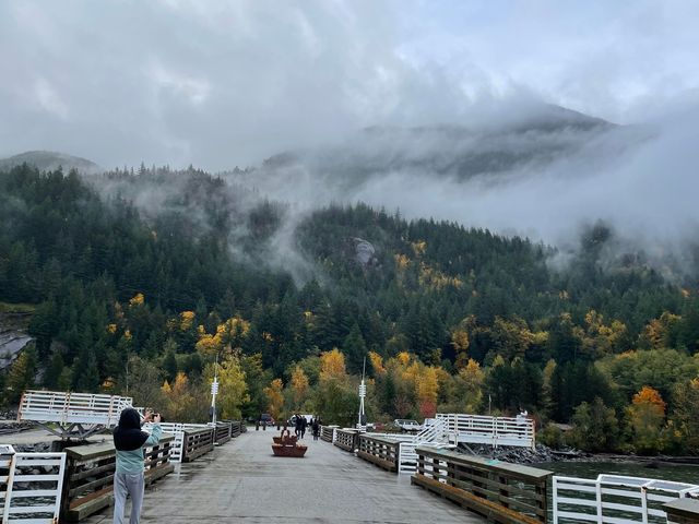 Escape to Nature  near Vancouver 🍁🌲🍂🦌🐿️