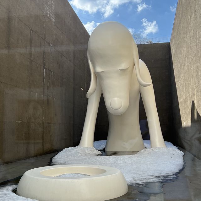 📷打卡美術館 🖼️必去睇奈良美智