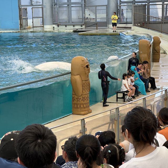 横濱八景島海島樂園