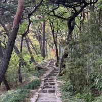 조선시대 흥선대원군의 별장, 고종의 임시거처 석파정🌸