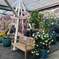 荷蘭🇳🇱盧瑟·花卉展覽活動&花藝創作比賽🌷🍀 Keukenhof 庫肯霍夫