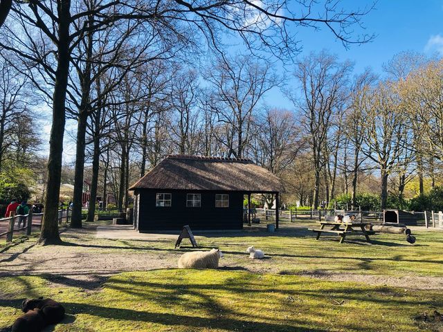 荷蘭🇳🇱盧瑟Lisse·親子好去處🐑🌳庫肯霍夫花園Keukenhof Garden