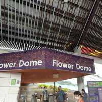 싱가포르 대형 온실 플라워돔
