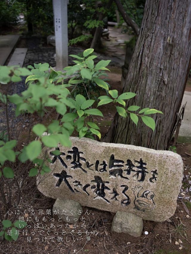 かえる寺　如意輪寺　📍福岡
