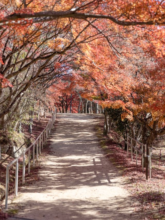 【岡山県/岡山市】本当は秘密にしたい滝行のできるお寺！？