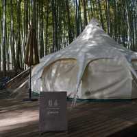 千葉観光　bamboo forest 