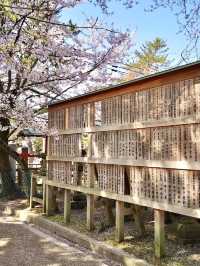 ศาลเจ้าน้ำแข็งไส Himuro Jinja Shrine, Nara