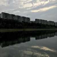 Backdrop of Tranquility at Bedok Reservoir 