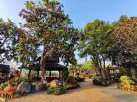 ร้านอาหารท่ามกลางบรรยากาศ ดอยหลวงเชียงดาว