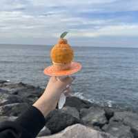 濟州島橘子麻糬+橘子冰淇淋和美麗夕陽