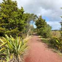 Kioreroa Bliss: Nature's Whispering Haven