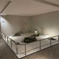 京都阿拉酒店ALA Hotel Kyoto